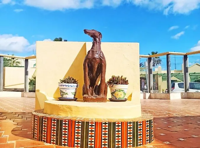 דירה Caleta Paraiso 127 *